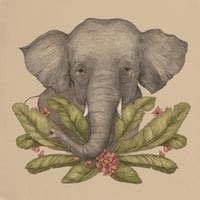 Borneo Pygmy Elephant