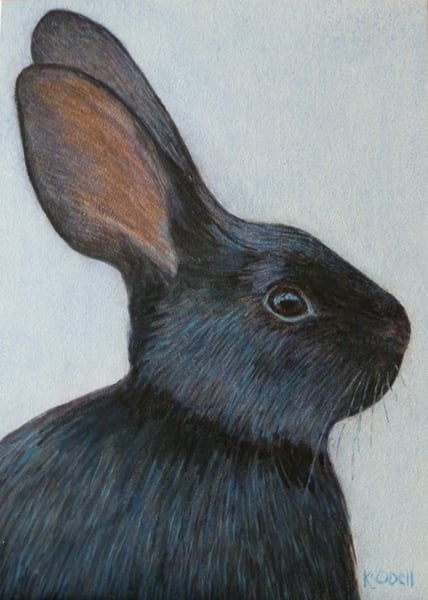 Image of "Blue Rabbit"
