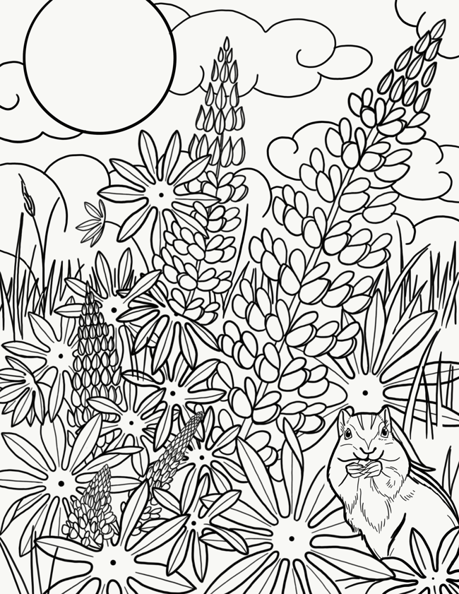 gemstones coloring pages
