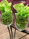Hubby/Wifey Wine Glass Set