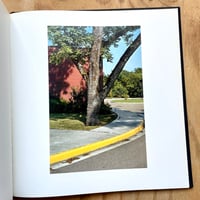 Image 7 of William Eggleston - The Democratic Forest