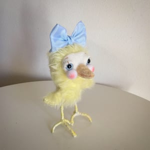 Image of Petunia the Baby Chick