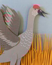 Image 4 of Dancing Sandhill Crane