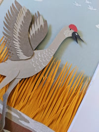 Image 3 of Dancing Sandhill Crane