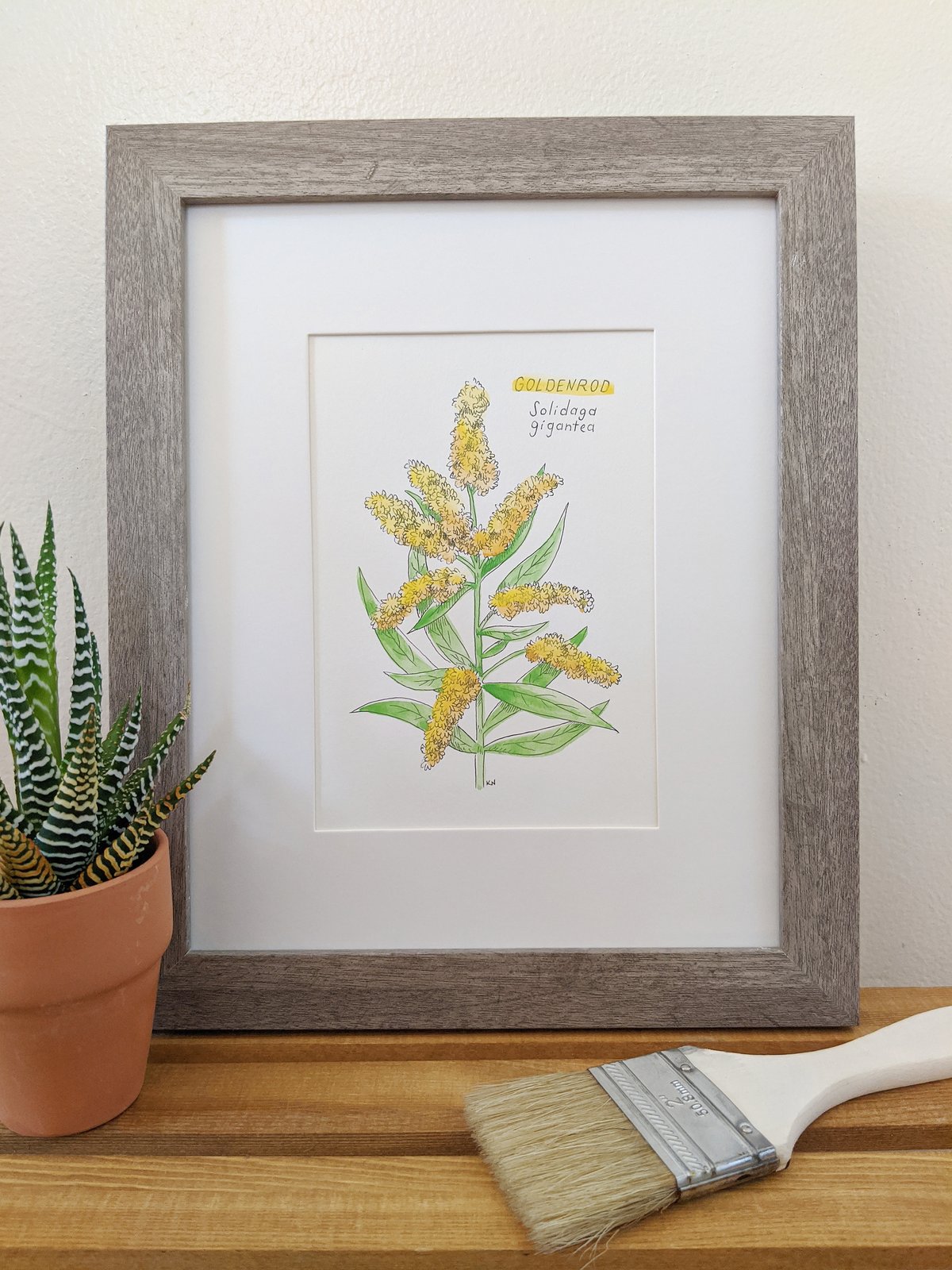 Image of Goldenrod Watercolor