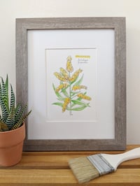 Image 3 of Goldenrod Watercolor