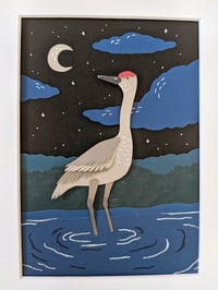 Image 3 of Midnight Sandhill Crane