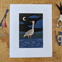 Image 1 of Midnight Sandhill Crane