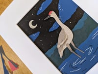 Image 2 of Midnight Sandhill Crane