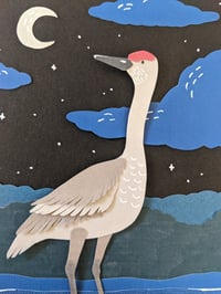 Image 4 of Midnight Sandhill Crane