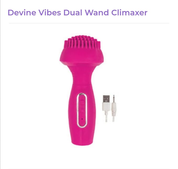 Image of Devine Vibes Dual Wand Controller