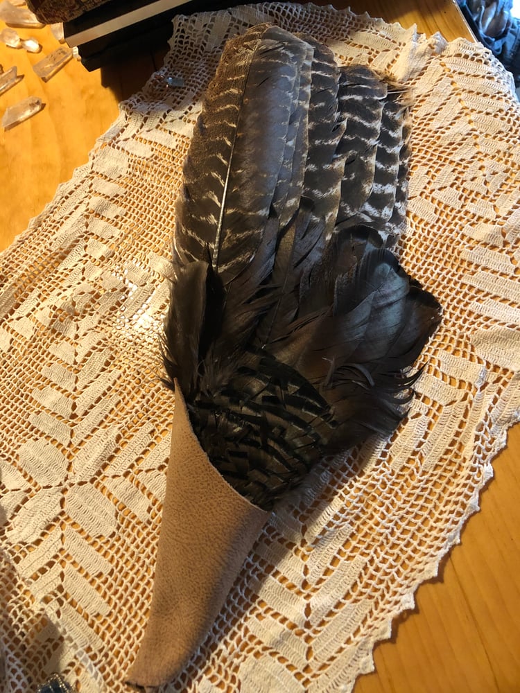 Image of Turkey Feather Smudge/ Ceremony Fan 1/2 wing