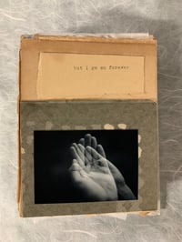 Song of the Cicadas #10 handmade artist book,  “but I go on forever”