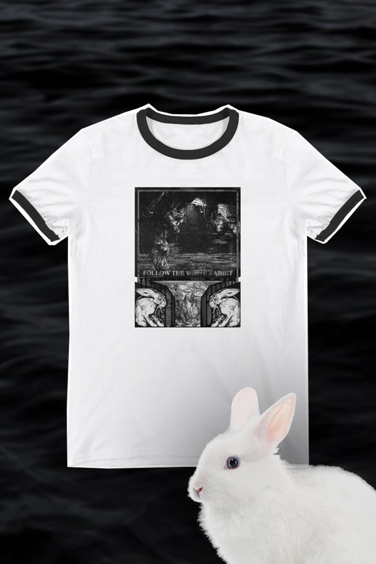 Image of white rabbit