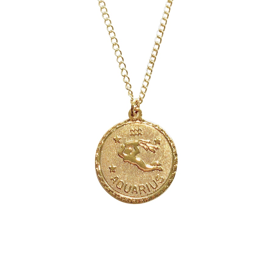 Image of Zodiac Necklace Winter Birthdays