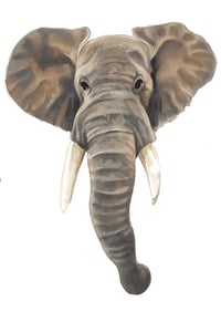 Elephant head 