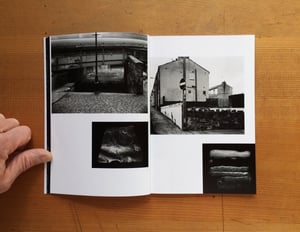 Image of Shaped By Stone