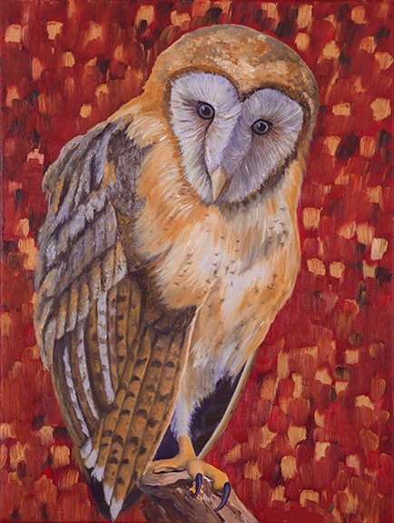 Barn Owl, Red & Gold (Print)