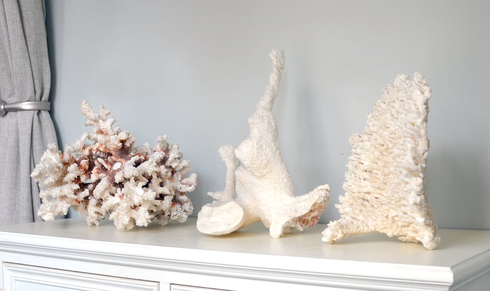Image of Three monumental fragments of natural white coral