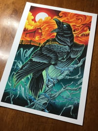 Raven - Print or Original