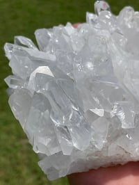 Image 13 of Clear Quartz Points Cluster #1787