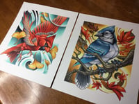 Cardinal and Blue Jay - Prints or Originals
