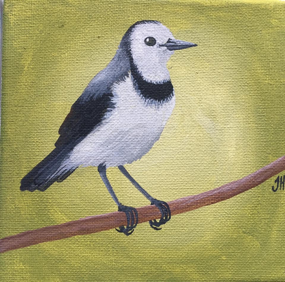 Australian Bird Original Paintings