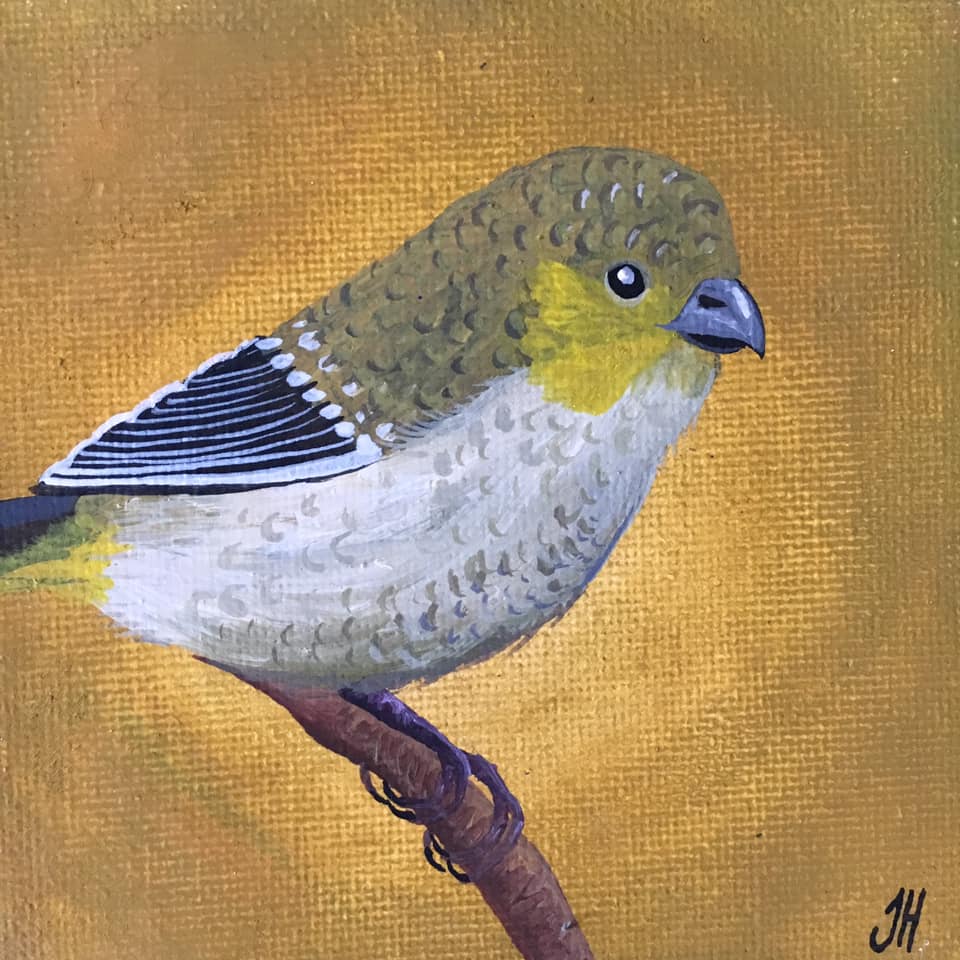 Small Tasmanian Bird Original Paintings | Brush - Art Tasmania