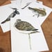Image of Set of six limited edition wading and shorebird postcards 