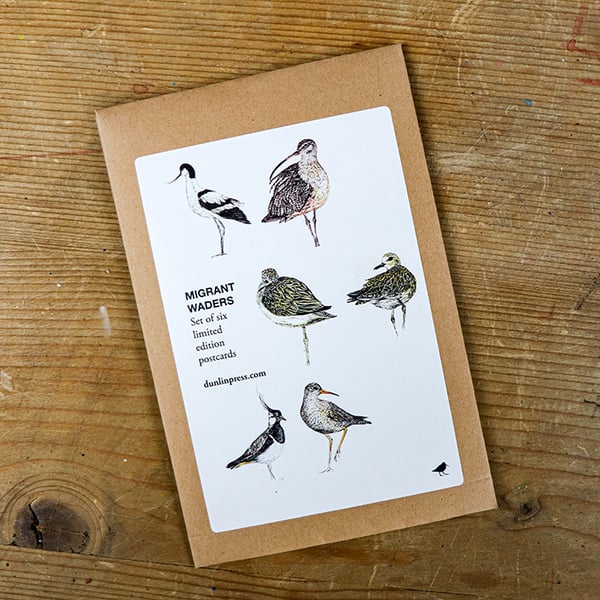 Image of Set of six limited edition wading and shorebird postcards