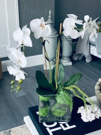 NEW - Coffee table orchid