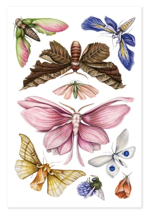 Floraflies Temporary Tattoos 