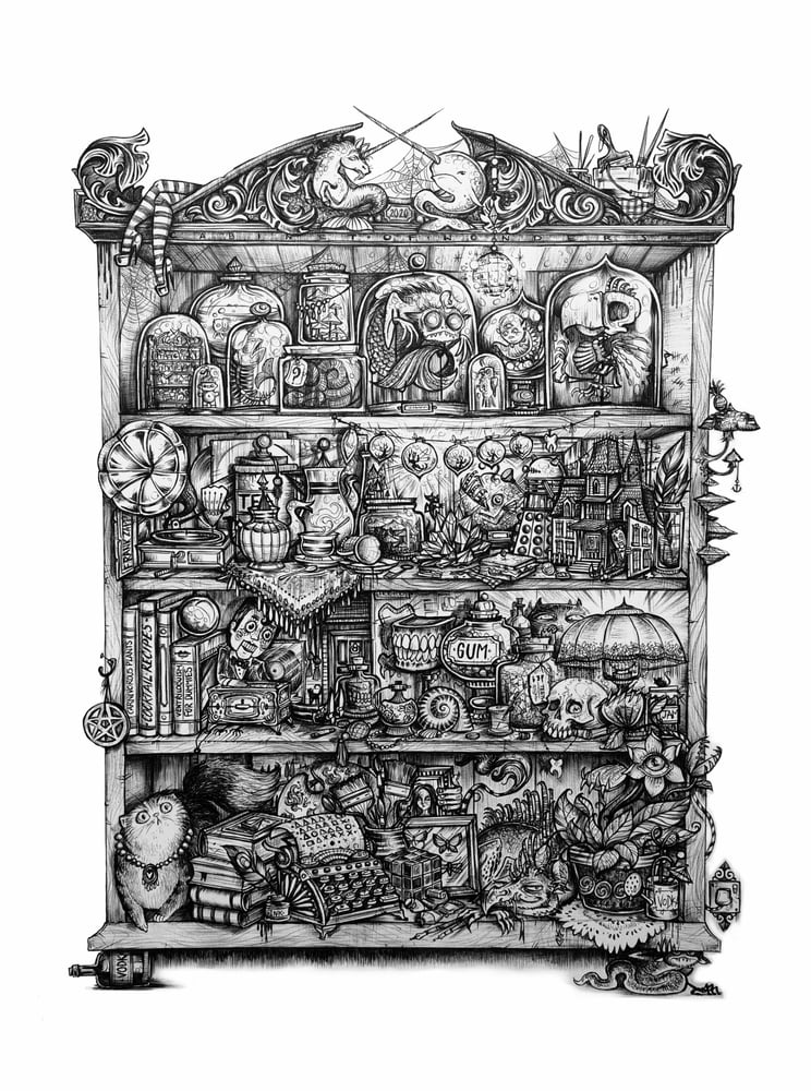 Image of Cabinet of Wonders