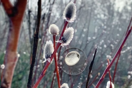 Image of "Inspiration" silver ring with rock crystal · INSPIRATIO ·