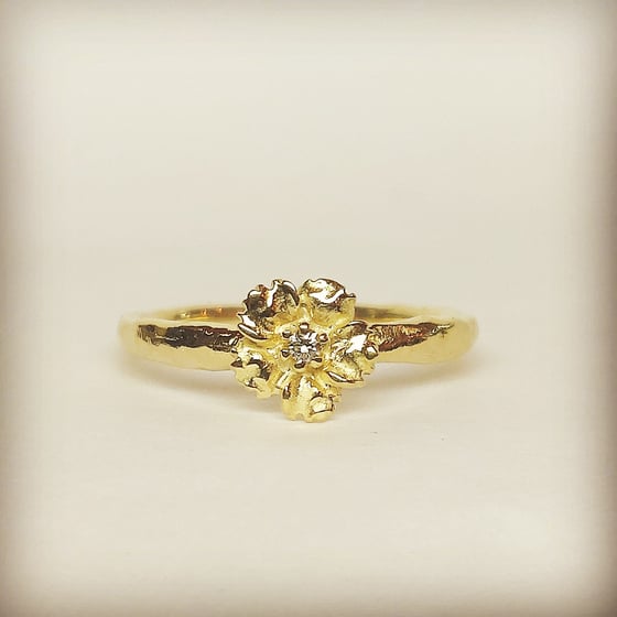 Beeld van Anemone diamond