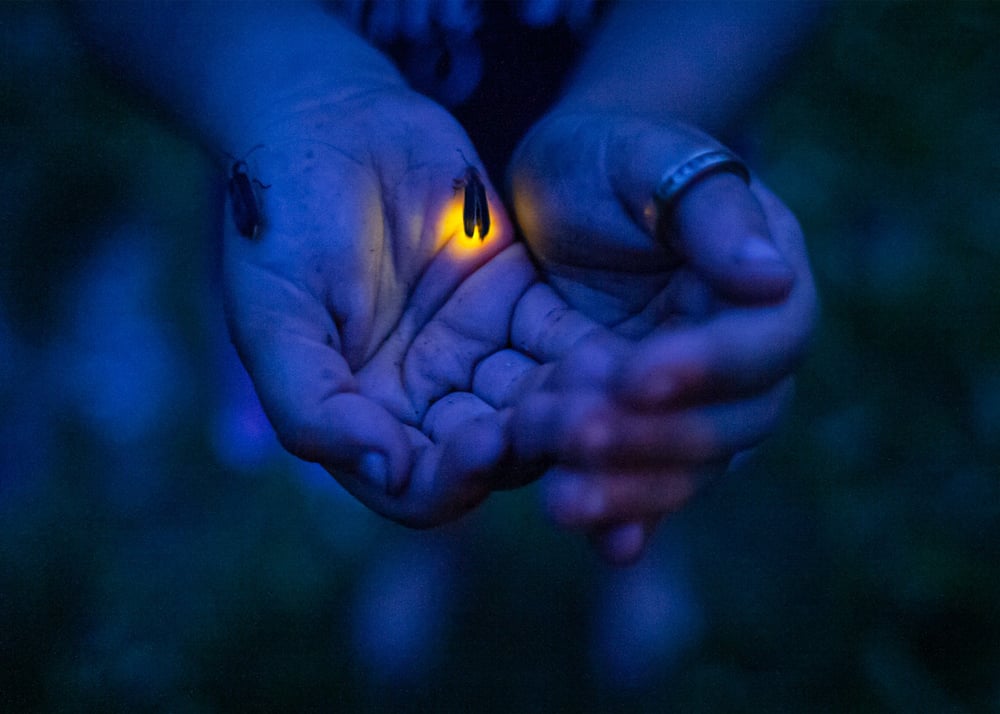 Image of Flint Fireflies, 2007
