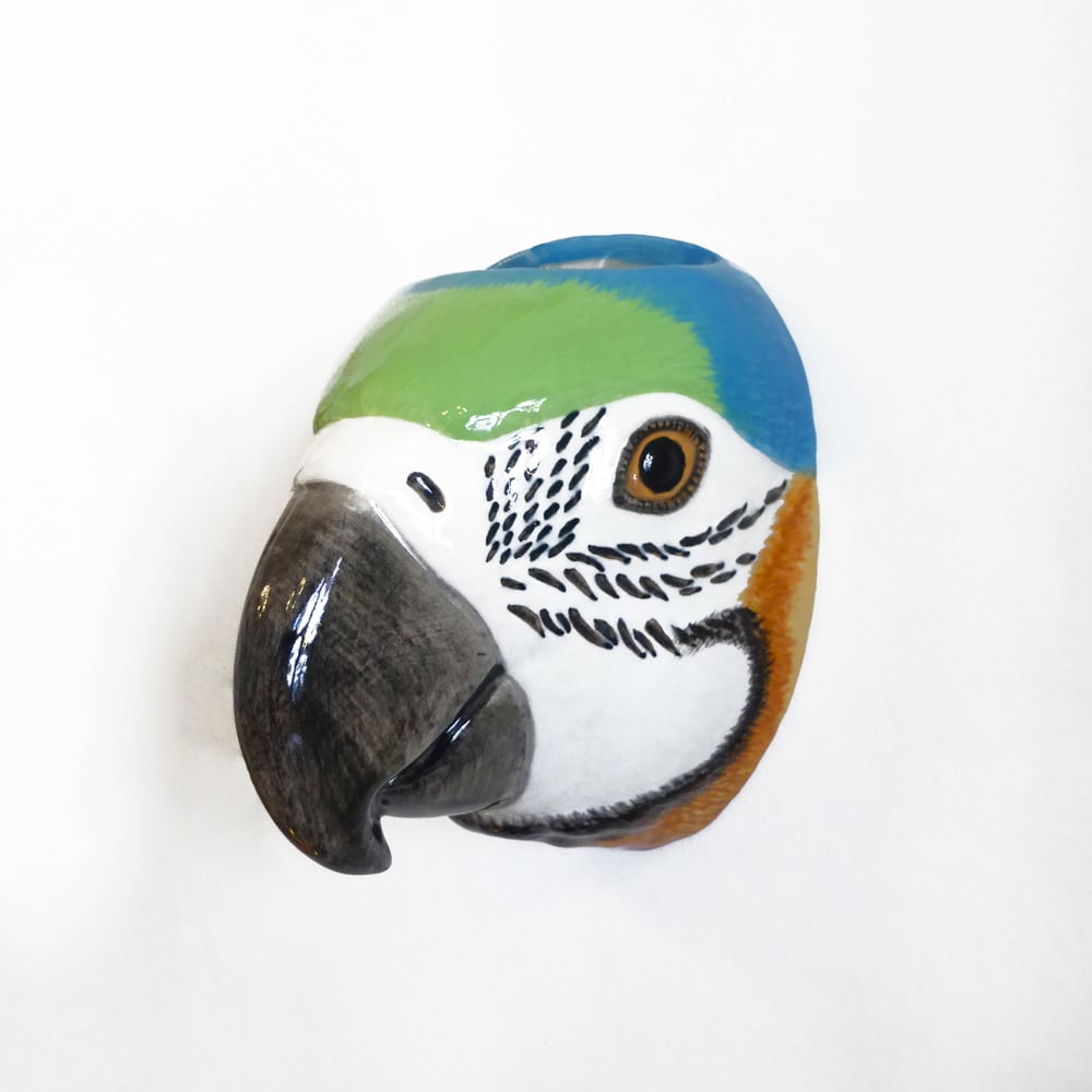 Image of Parrot Wall Vase