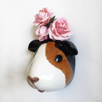 Image 3 of Guinea Pig Wall Vase