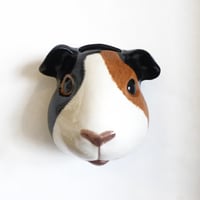Image 2 of Guinea Pig Wall Vase