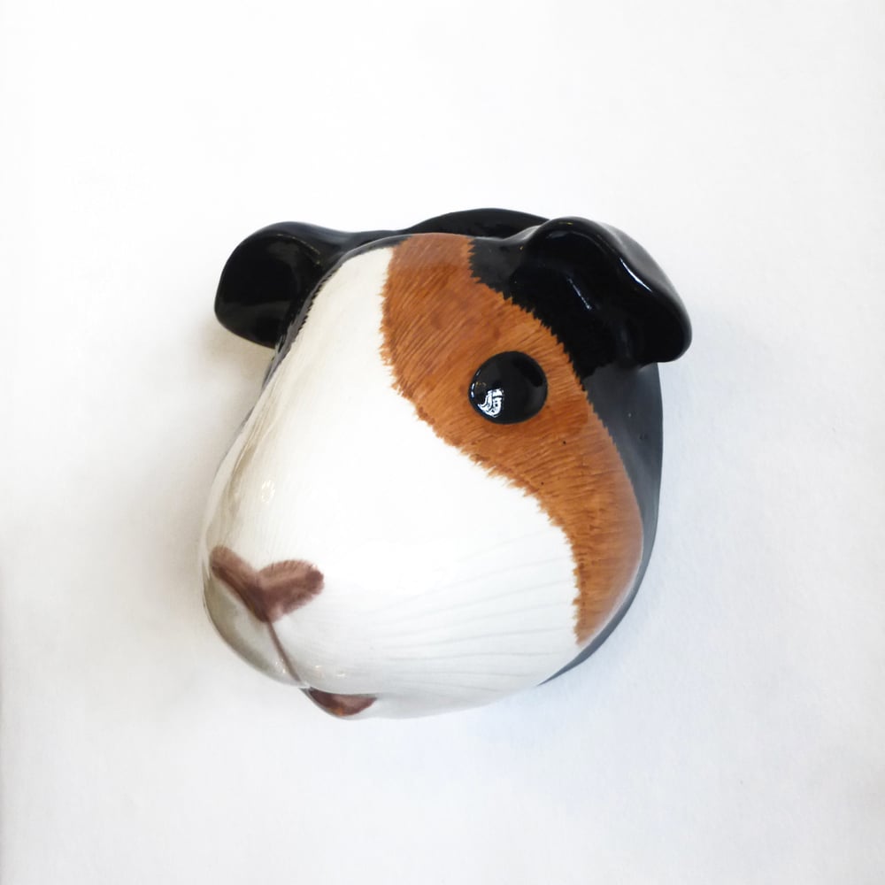 Image of Guinea Pig Wall Vase