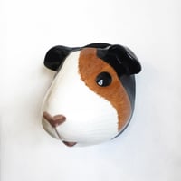 Image 1 of Guinea Pig Wall Vase