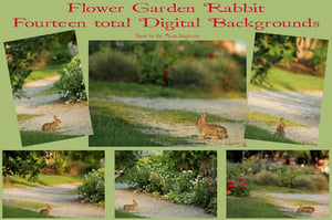Image of Flower Garden Rabbit Digital Backgrounds 