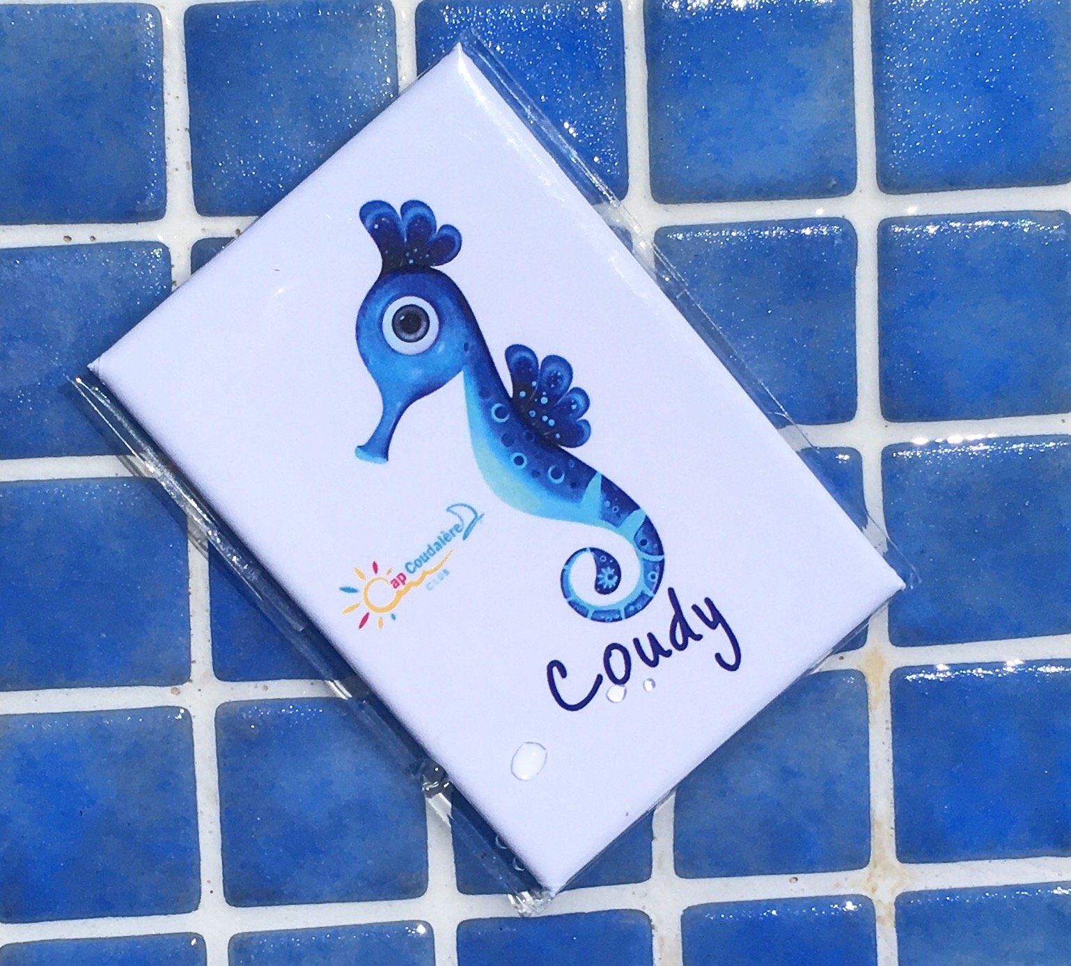 Image of Magnet Coudy