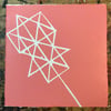 Kite