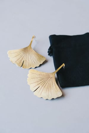 Image of GINKGO