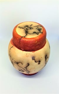 Horsehair Naked Raku 