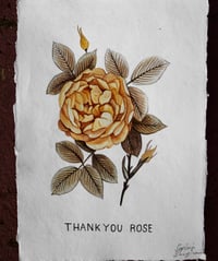 Image 2 of Rose Prints