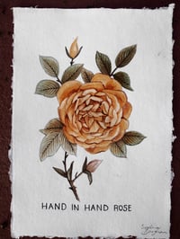 Image 3 of Rose Prints