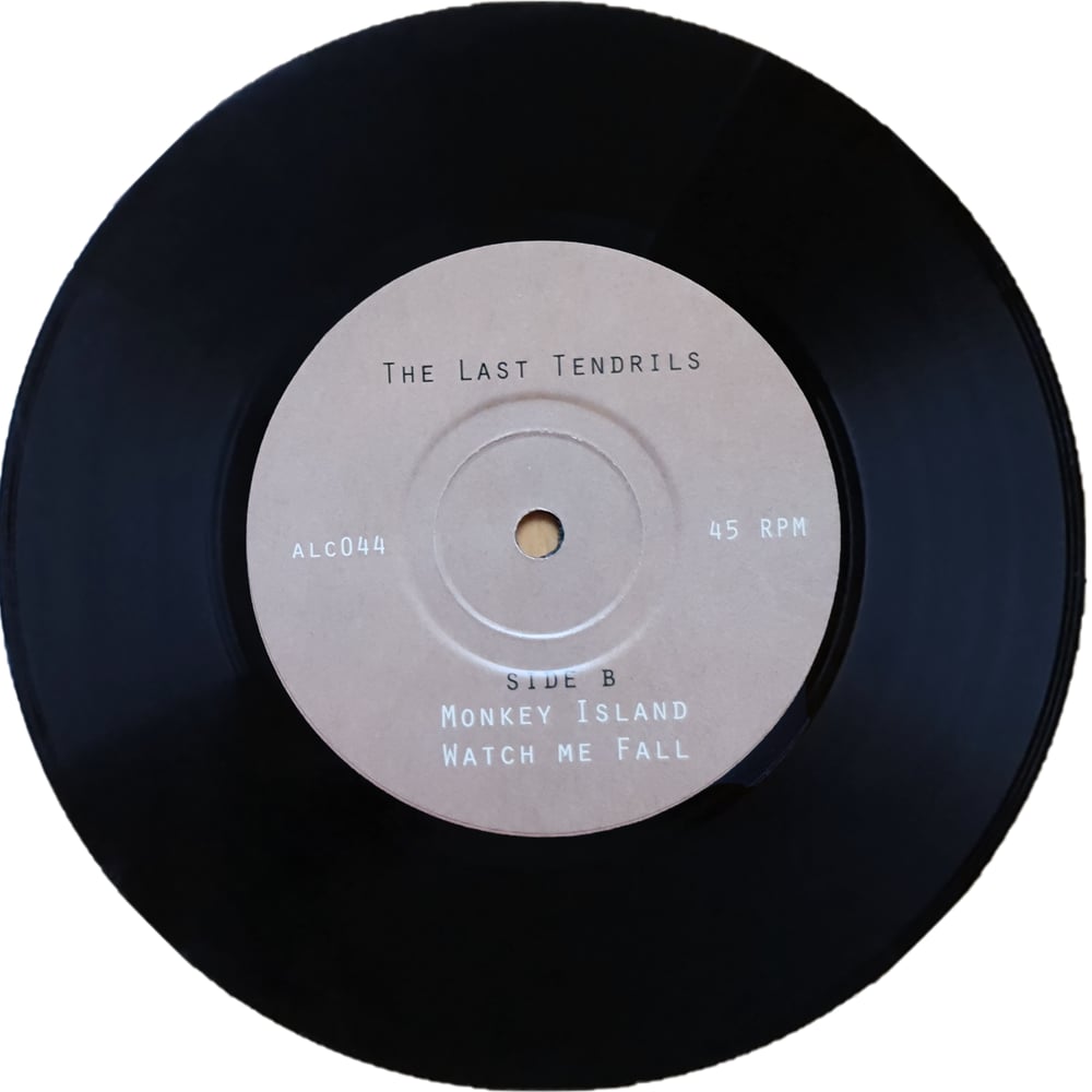The Last Tendrils - Someone To Talk To