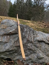 Image 3 of 2020-7: Shelf-less Maple Longbow 